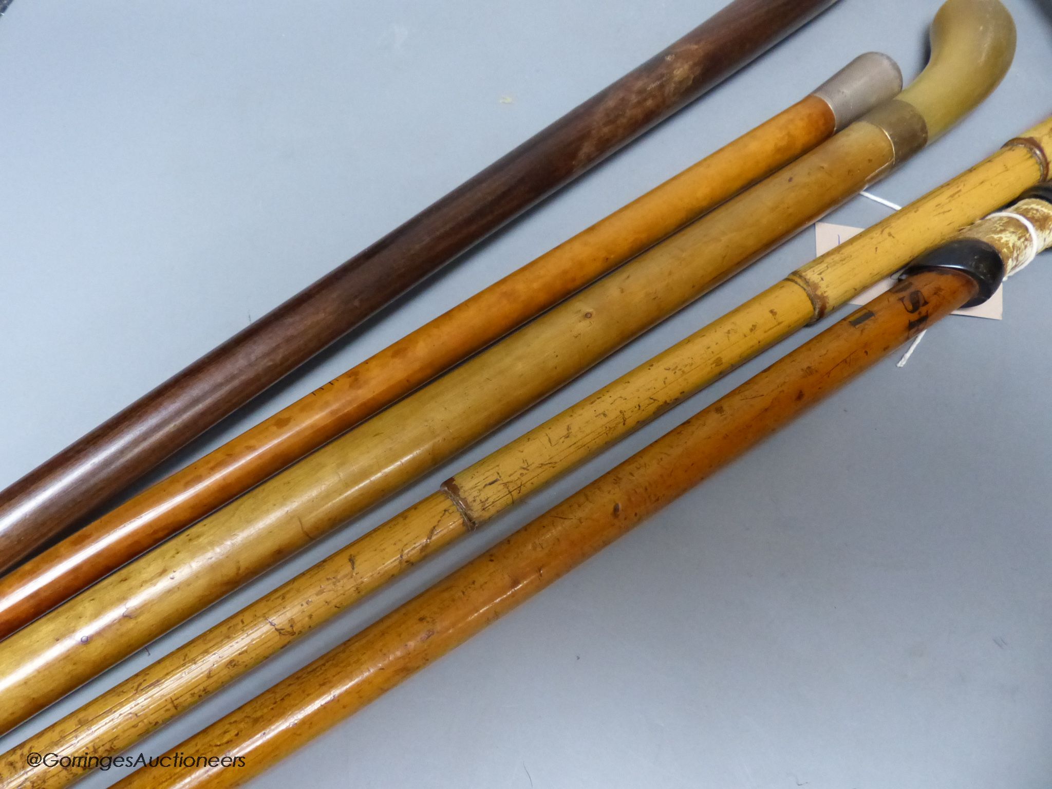 Five various walking sticks: three horn-handled, one silver-mounted and the other antler